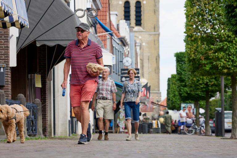 Jouster Merke Jaarmarkt — braderie-en-jaarmarkt in Joure